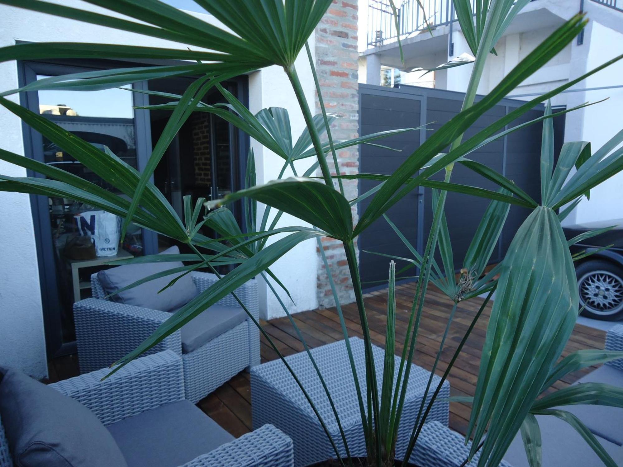 Les Spas De La Chartreuse Tarbes Room photo